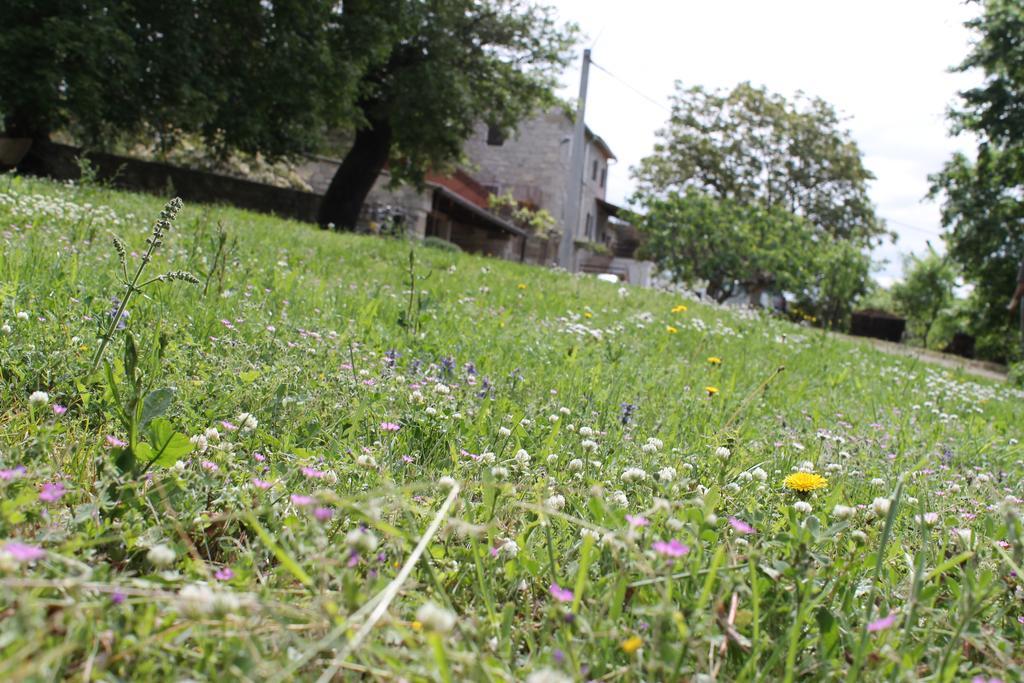 Apartments Mestri Grožnjan Zewnętrze zdjęcie